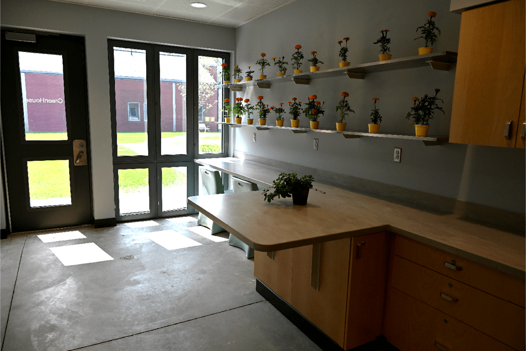 Healthcare Construction - Caro Psychiatric Hospital