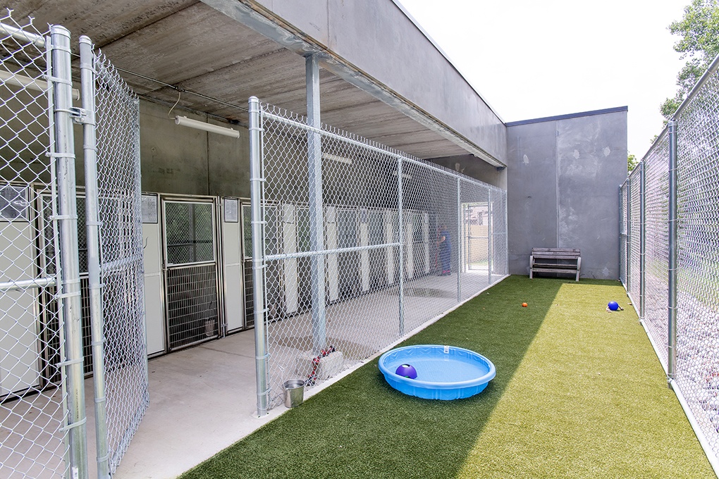 Civic & Municipal Construction - Ingham County Animal Shelter - Dog Run