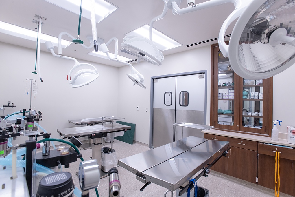 Civic & Municipal Construction - Ingham County Animal Shelter - Veterinary Facilities