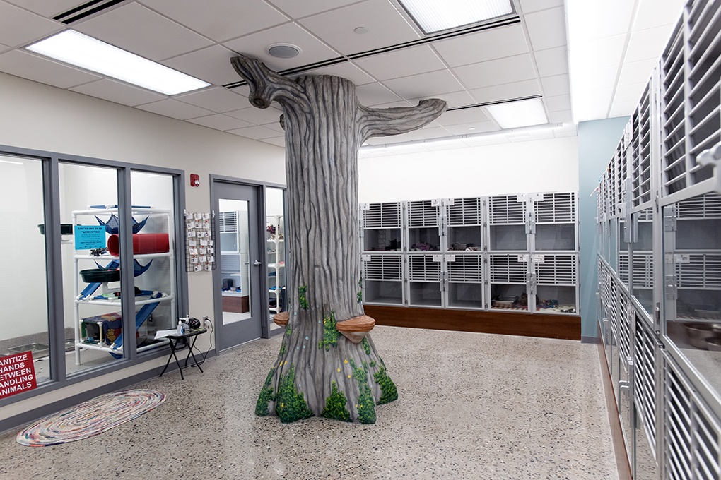 Civic & Municipal Construction - Ingham County Animal Shelter - Cat Kennels