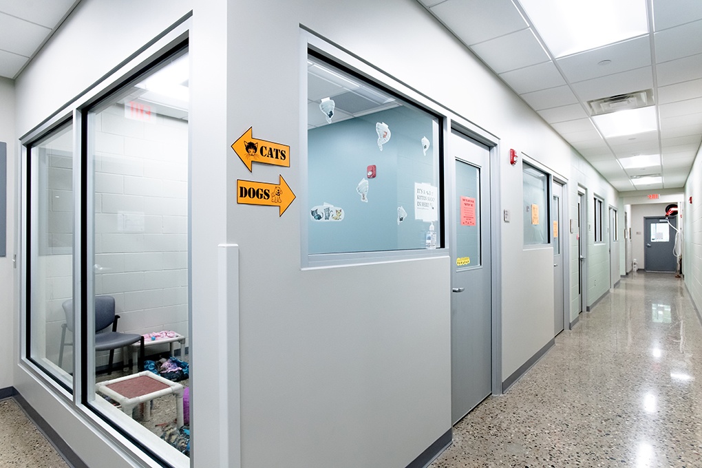 Civic & Municipal Construction - Ingham County Animal Shelter - Adoption Visiting Room